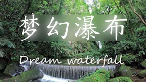 虫虫助手下载